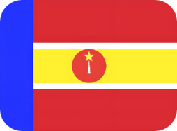 DRC Flag