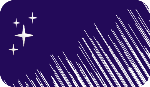 HZS Flag