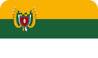 NESQ Flag